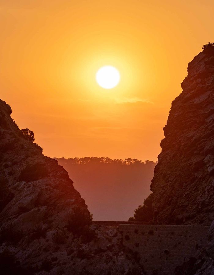 Camping dans le Verdon, les lavandes