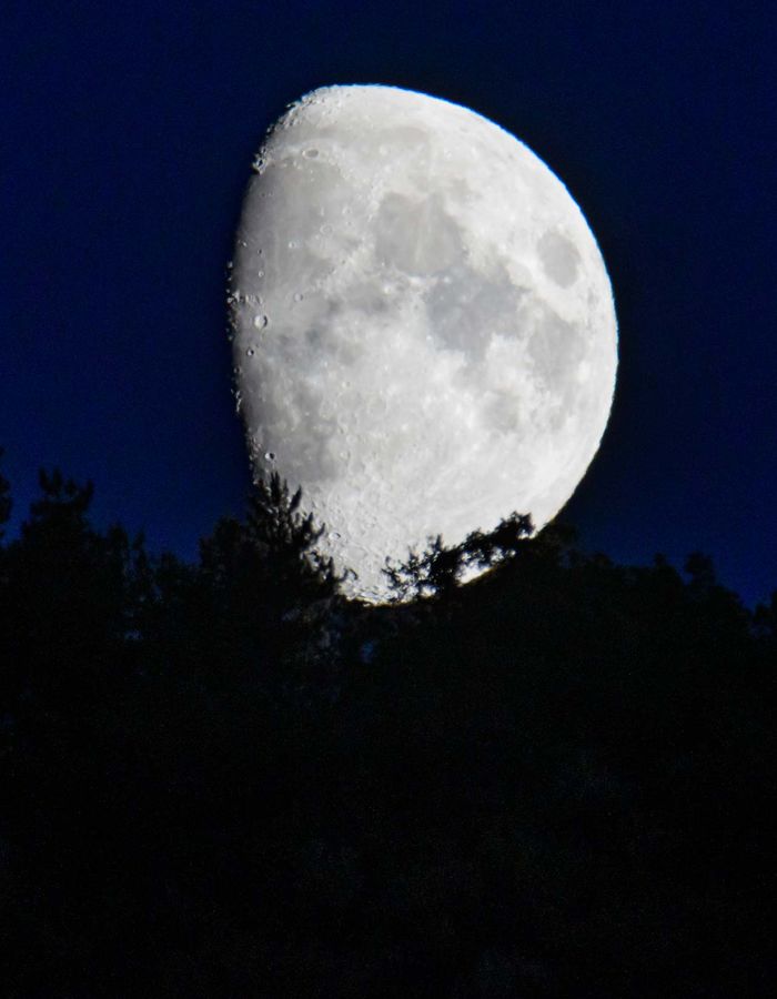 Photo by Casey Horner on Unsplash