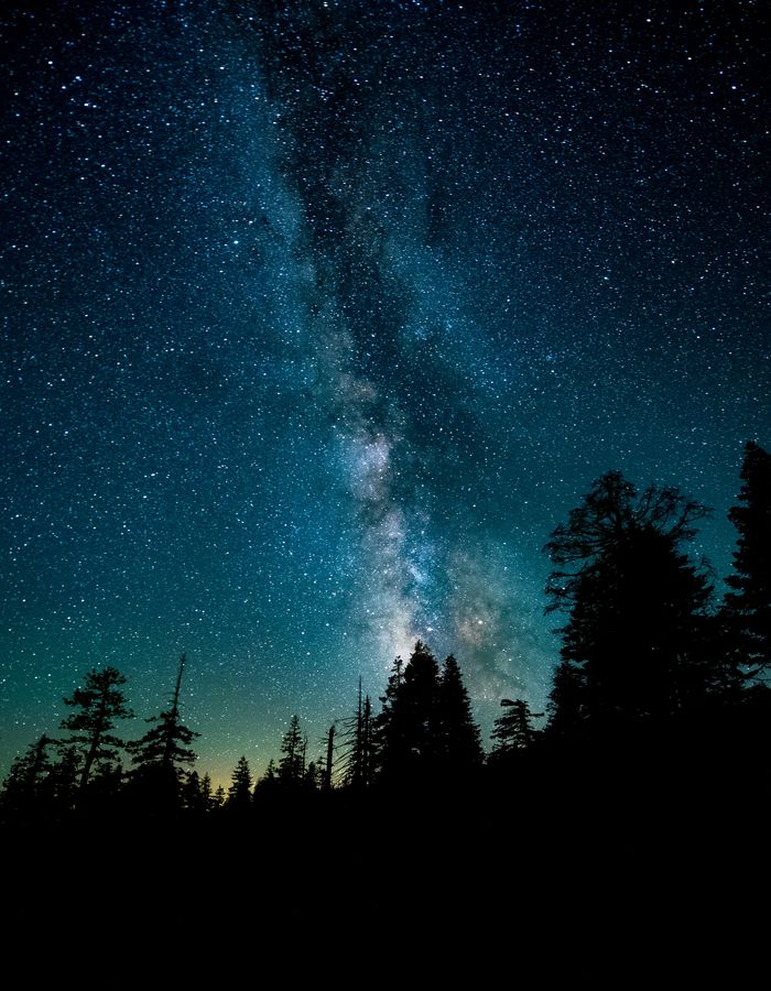 Photo by Casey Horner on Unsplash