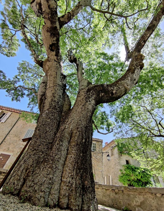 Le village de Fox-Amphoux dans le Var
