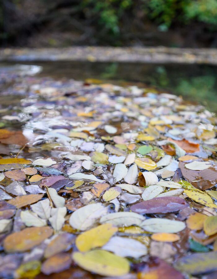 L'été indien dans le Verdon