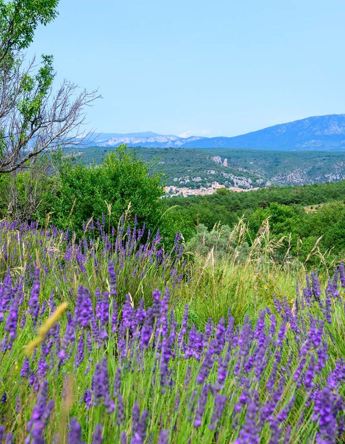camping dernière minute dans le Verdon