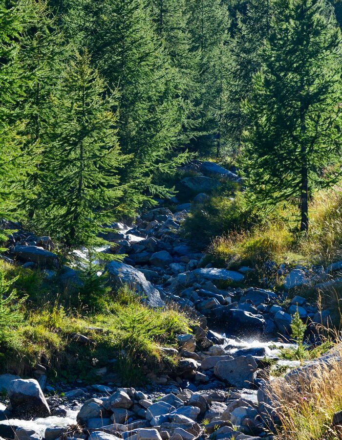 Les sources du Verdon