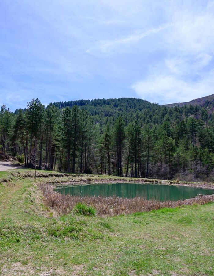 Randonnée et VTT vers le Mont-Chiran dans le Verdon