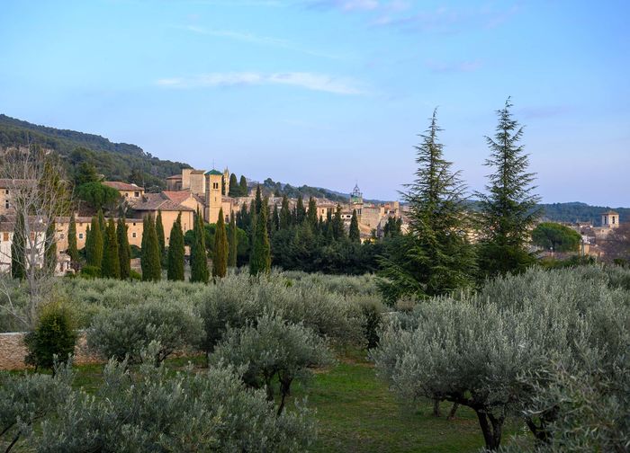 Le village provençal d'Aups dans le var