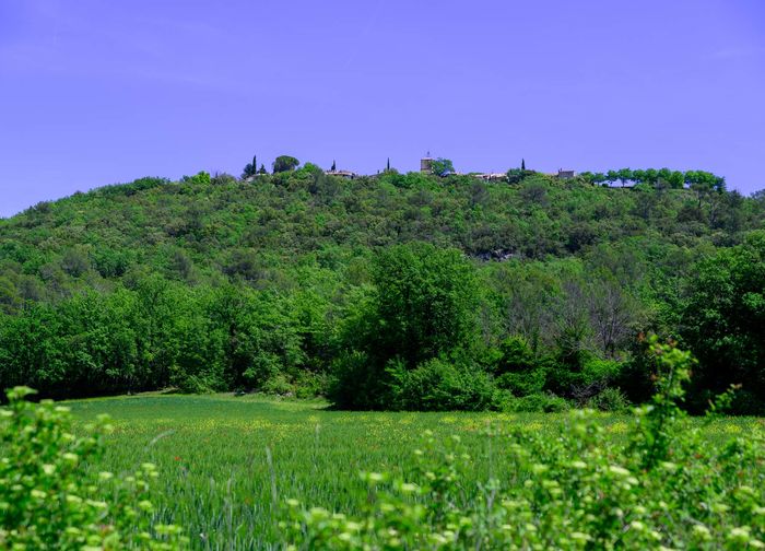 Le village de Fox-Amphoux dans le Var